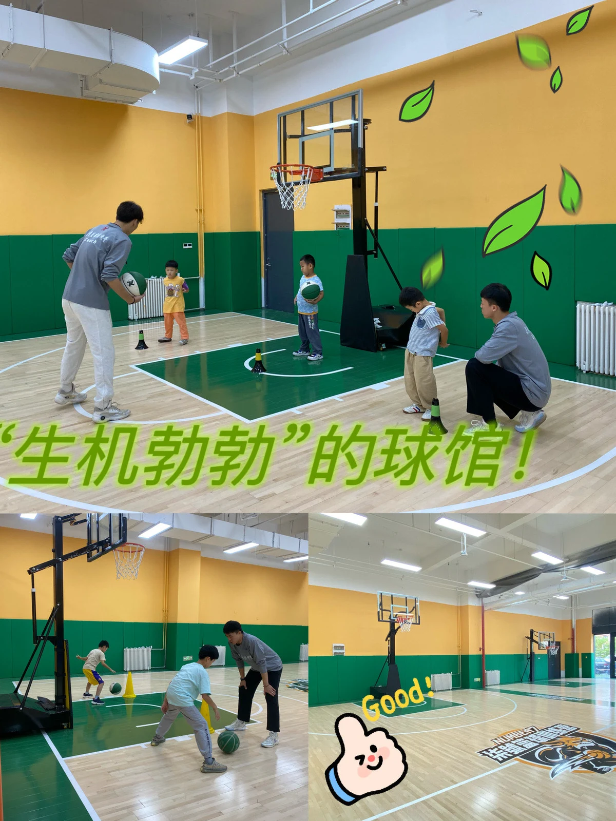 篮球训练师证报名官网_1